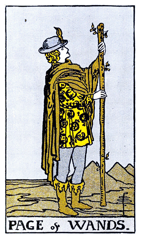 Is The Page Of Wands Yes Or No Card Yes Or No Tarot Card Meanings In Is The Page Of Wands Yes Or No Card Yes Or No Tarot Card Meanings In
